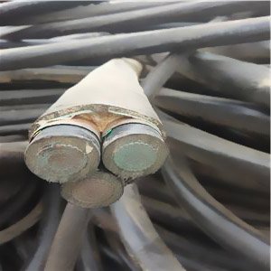 늾�(xi��n)��|