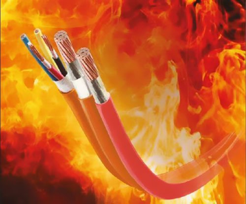 2018��ȫ���ͻ���|�Ј����_17.6�|��Ԫ