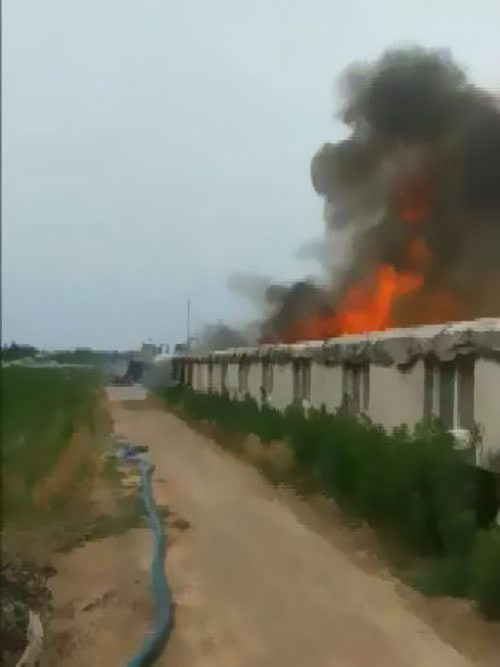 ������Ȼ�@����������ԭ����������