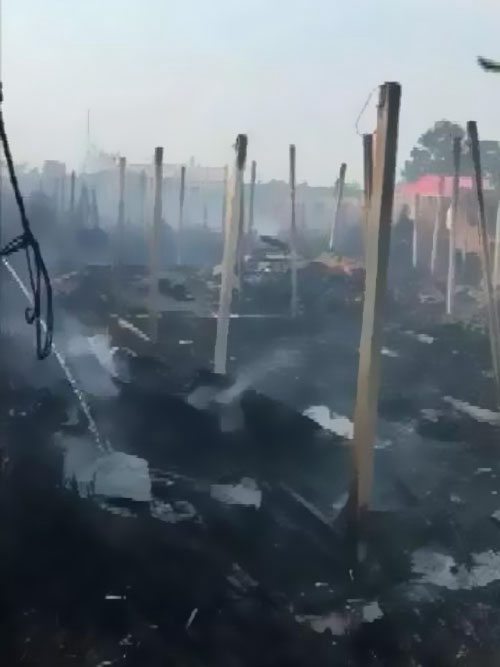 ������Ȼ�@����������ԭ����������